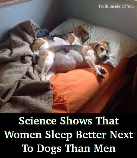Science Shows That Women Sleep Better Next To Dogs Than Men