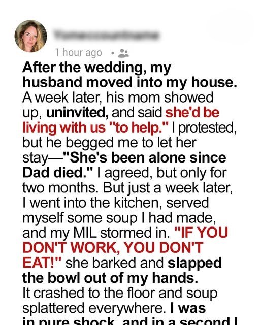 My MIL Moved Into My House and Barked, If You Dont Work, You Dont Eat! My Husbands Reaction to the Situation Shocked Me to the Core