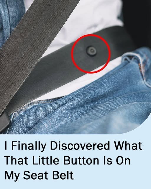 The buttons on your seatbelt have an important purpose